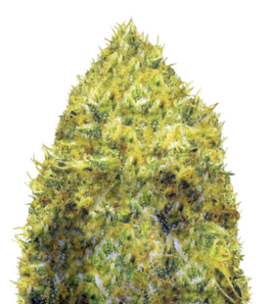 1750239640523.png