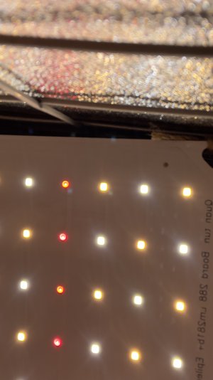 IMG_4036.jpeg