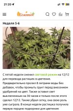 IMG_8566.jpeg