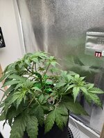 IMG_2193.JPG