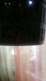 IMG_20251030_220736_226.jpg