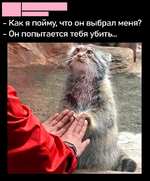 IMG_0265.png