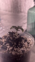 IMG_5830.jpeg