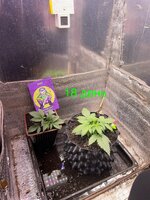 IMG_1940.jpeg