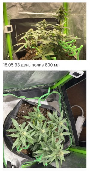 0257F4BF-85AB-478A-A32E-DF920C0B8D67.jpeg