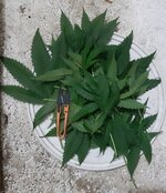 20260206_064048.jpg 20260206_064048.jpg