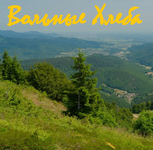 ВХ.png