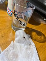 IMG_4375.jpeg