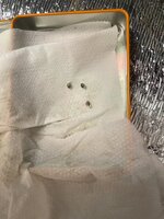 IMG_4553.jpeg