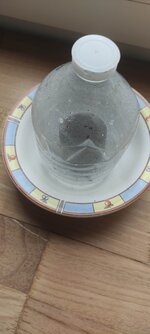 IMG_20260611_134410.jpg
