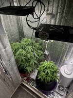 IMG_3308.jpeg