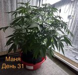 IMG_3307.jpeg