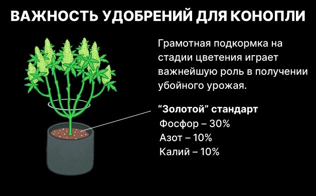 Удобрения для конопли