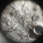 65502.jpg