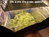 1000022723.jpg