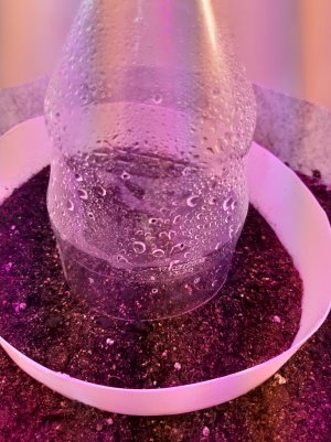 20220701_111037.jpg