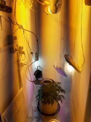 20220701_132453.jpg