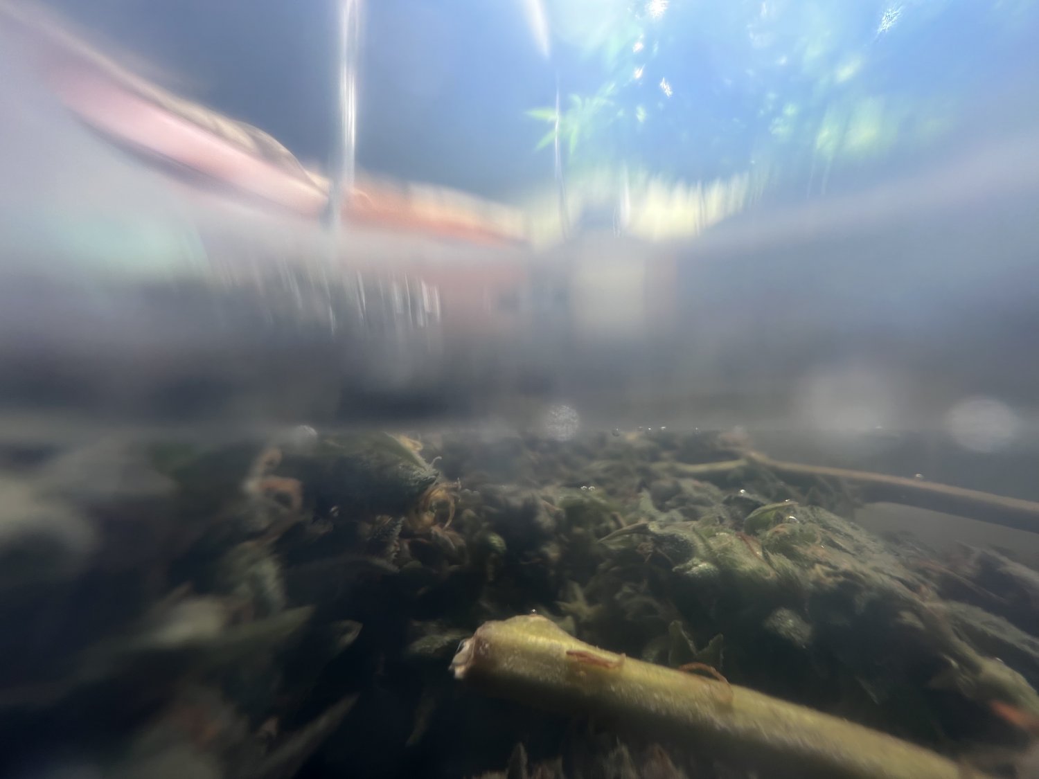 5D491FB9-A0EF-41DA-883D-40A8274C4882.jpeg