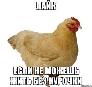 IMG_4032.jpeg