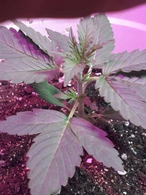 photo_2023-06-20_15-52-39.jpg