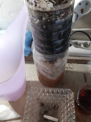 20230802_191249.jpg
