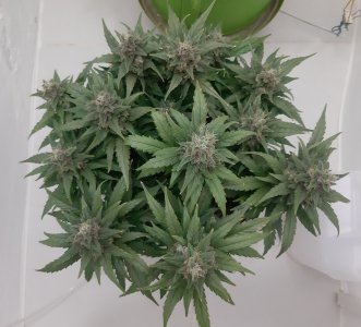 20230821_214339.jpg