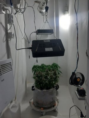 20230822_221150.jpg