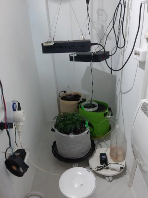 20230910_132107.jpg