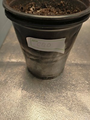IMG_20230729_111029.jpg