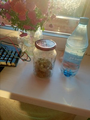 IMG20231008173628.jpg