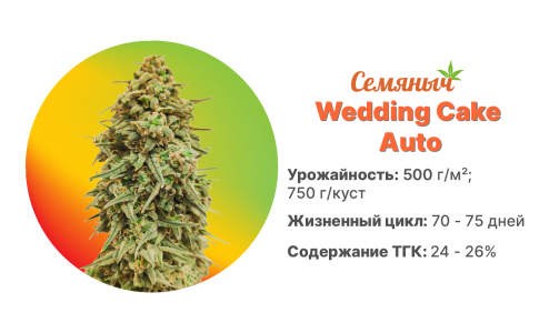 Wedding Cake Auto