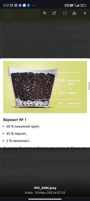 Screenshot_2024-02-21-00-01-09-043_com.android.chrome.jpg