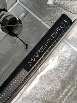 IMG_0047.jpeg