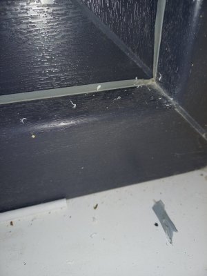 20240315_205907.jpg