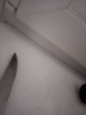 20240315_204949.jpg
