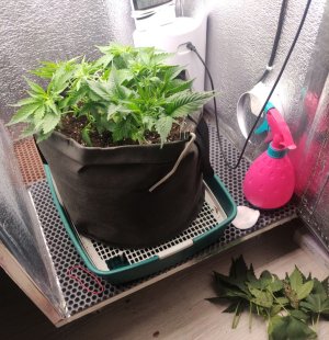 cleaned_IMG20240326210239.jpg