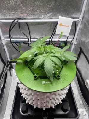 IMG_7531.jpeg