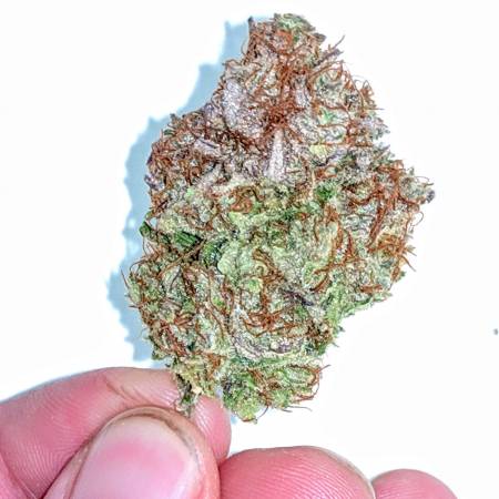 growdiaries.com